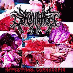 Seraphim Defloration : Intestinal Cornucopia